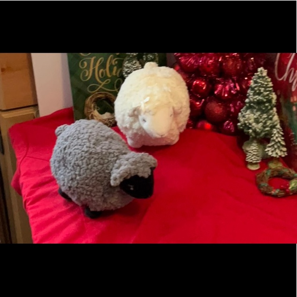 MALE & FEMALE LAMBS (bath @ body)